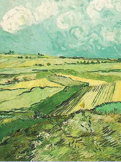 Champ de blé à Auvers-sur-Oise